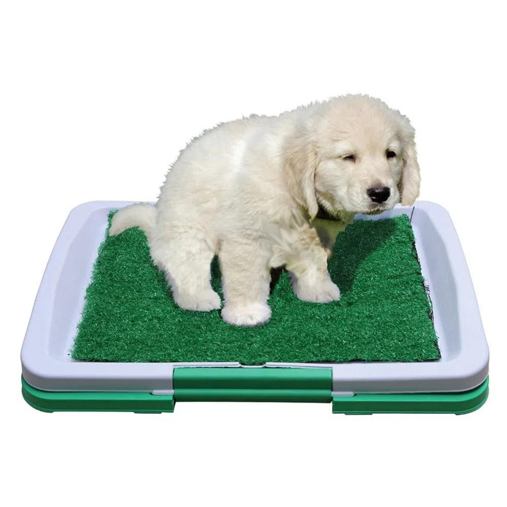 Tapete Para Perro Puppy Potty Pad Baño Portatil®